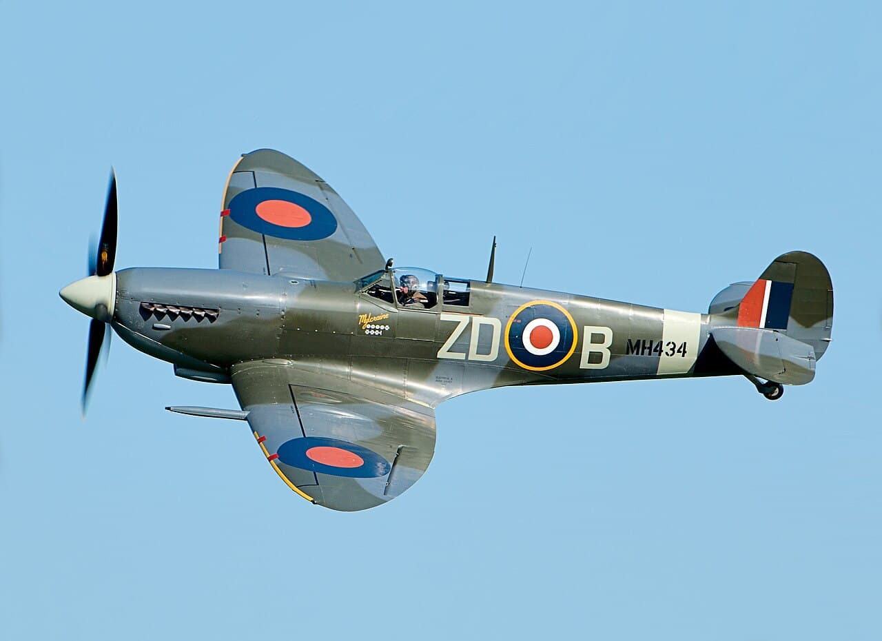 Warbirds